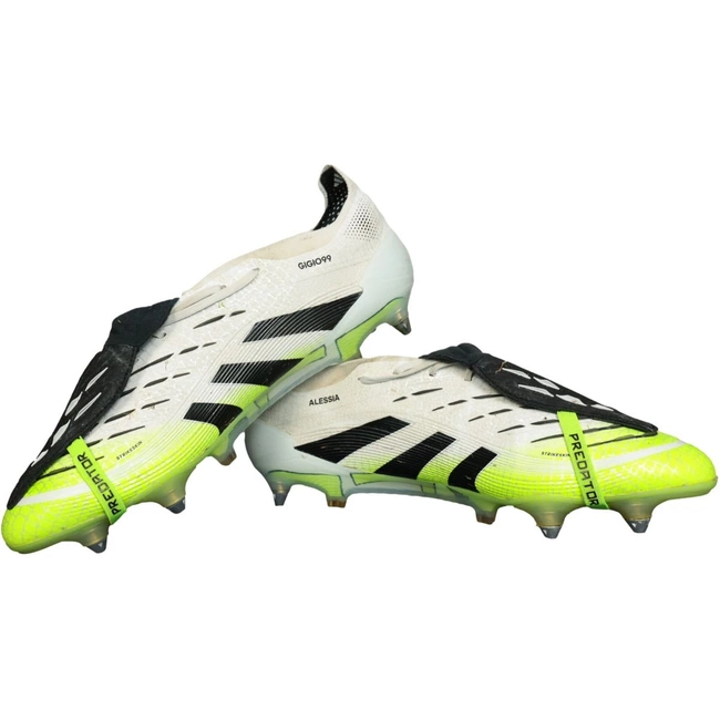 cover image of the auction item