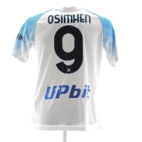 cover image of the auction item