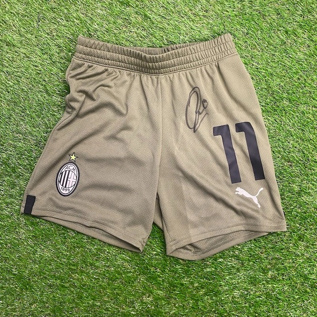 cover image of the auction item