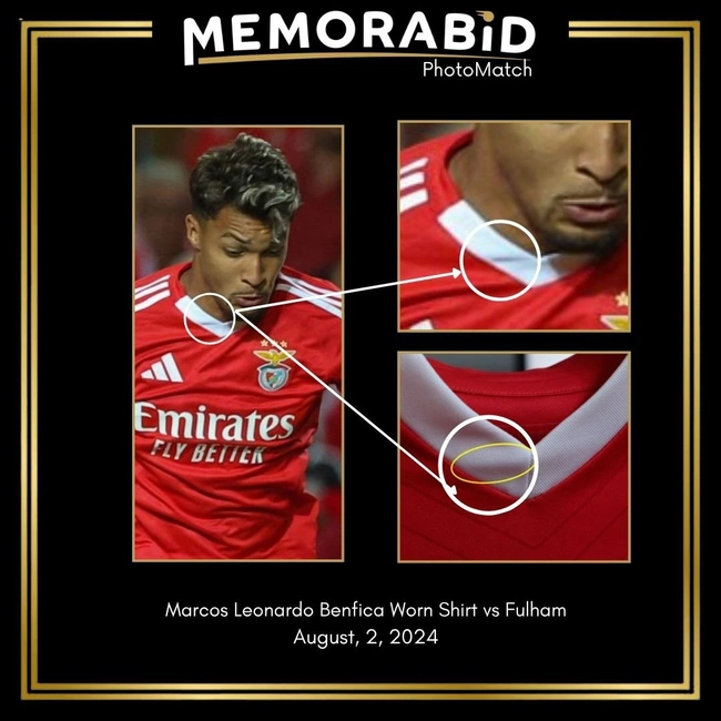 cover image of the auction item