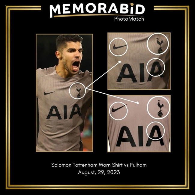 cover image of the auction item