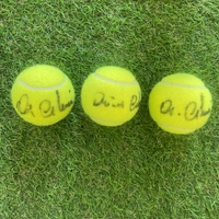 cover image of the auction item