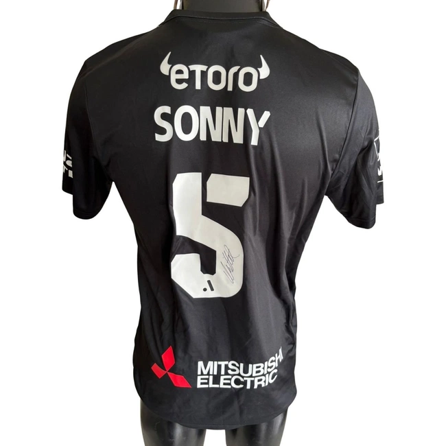 cover image of the auction item