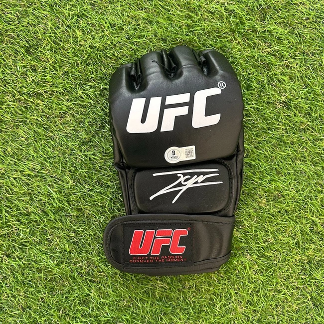 cover image of the auction item