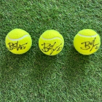 cover image of the auction item