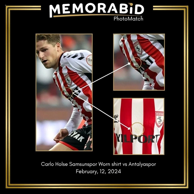 cover of the auction item