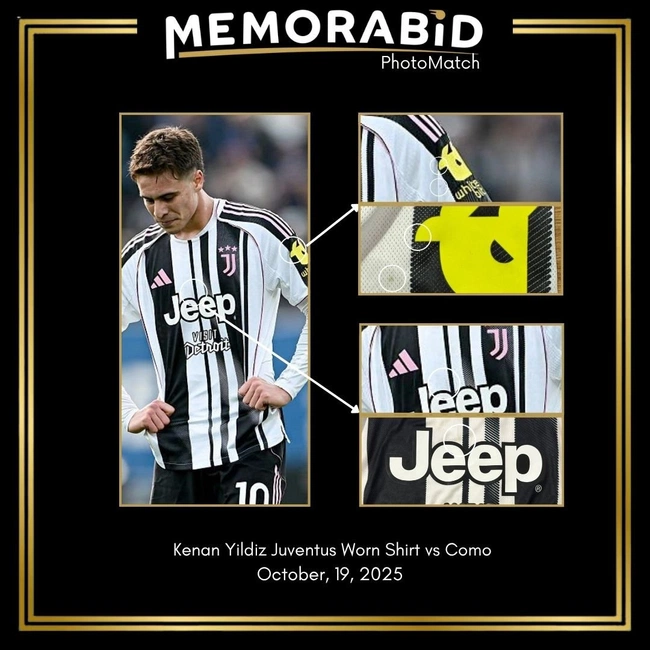 cover image of the auction item