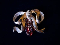 cover image of the auction item