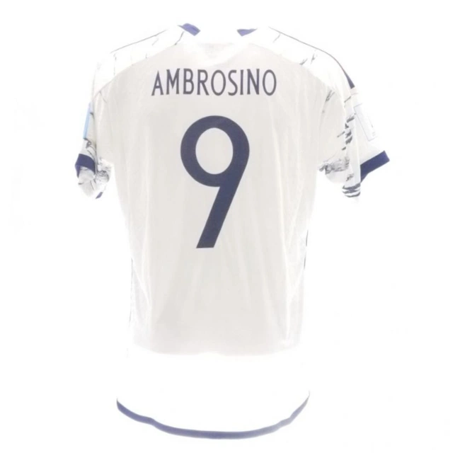 cover image of the auction item