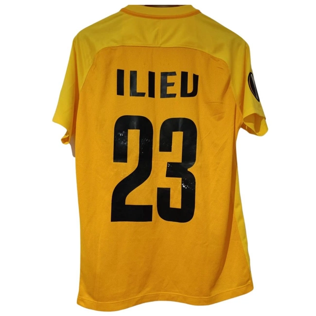 cover image of the auction item