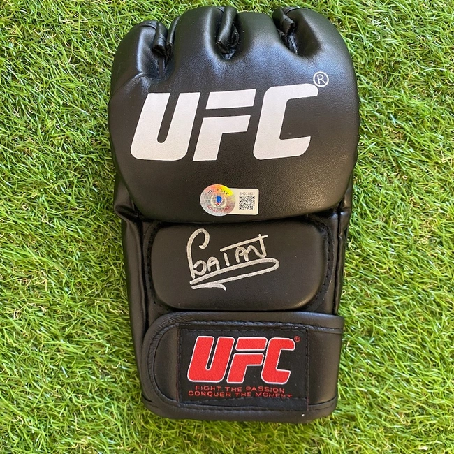 cover image of the auction item