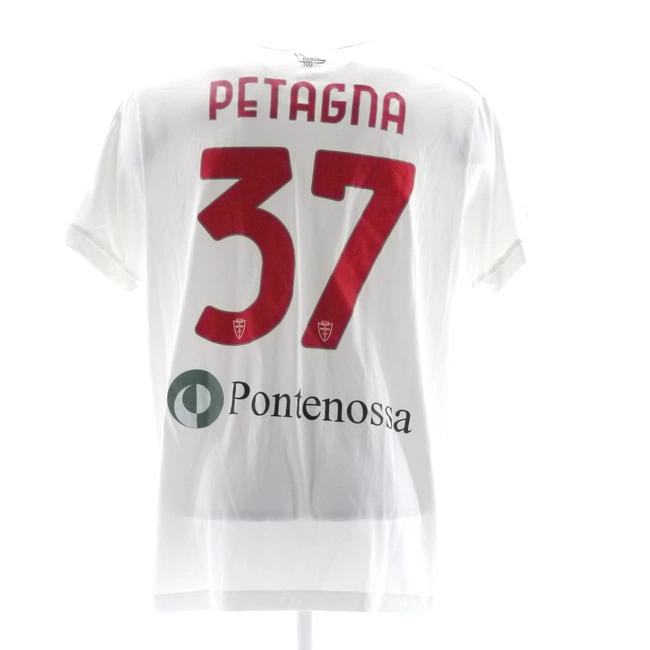 cover image of the auction item