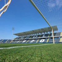 cover image of the auction item