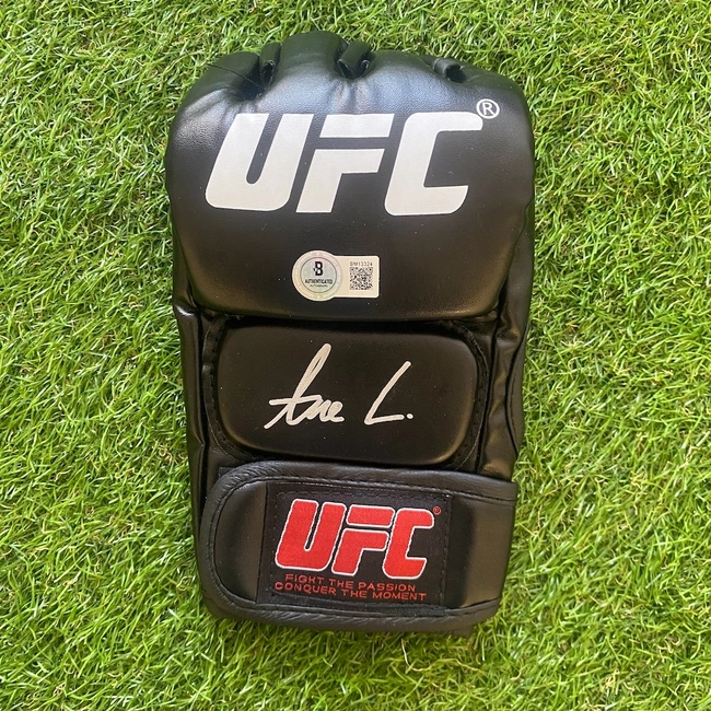 cover image of the auction item