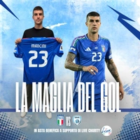 cover image of the auction item