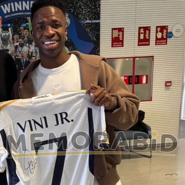 cover image of the auction item