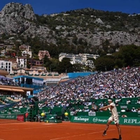 cover image of the auction item