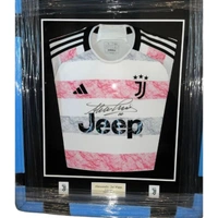 cover image of the auction item