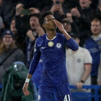 cover image of the auction item