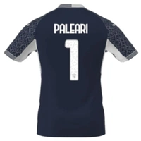 cover image of the auction item