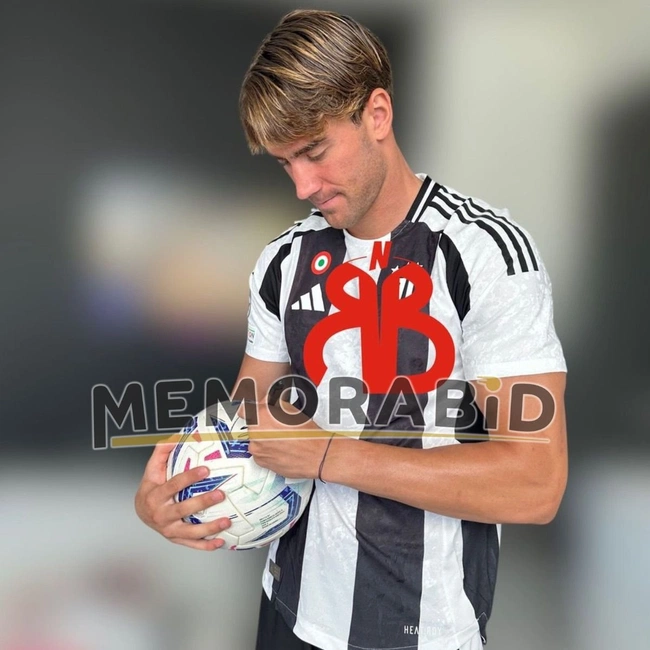 cover image of the auction item