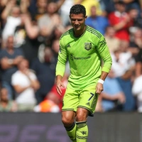 cover image of the auction item