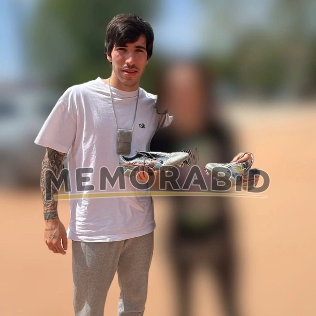 cover image of the auction item