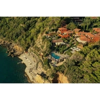 cover image of the auction item