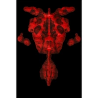 cover image of the auction item