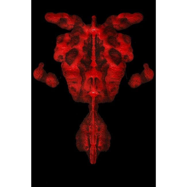 cover image of the auction item