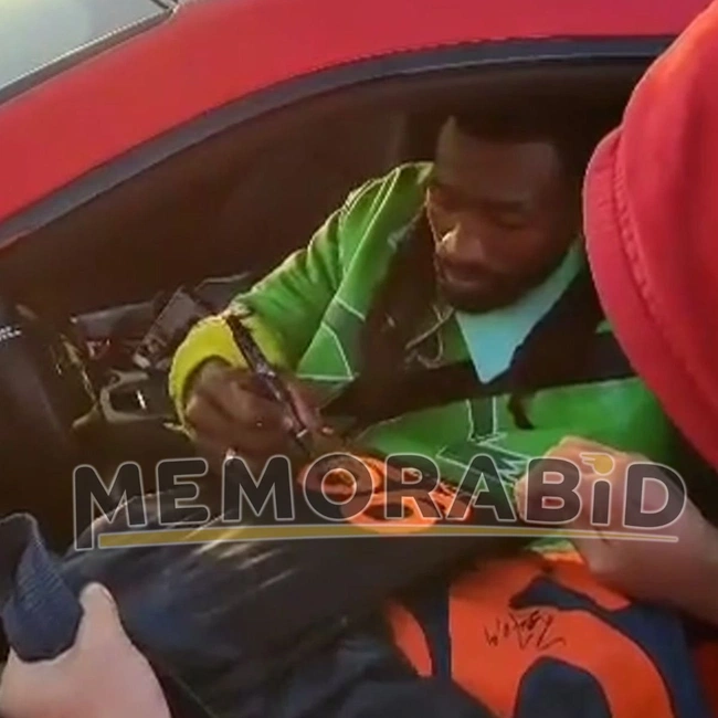 cover image of the auction item