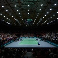 cover image of the auction item