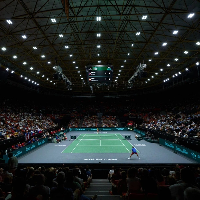 cover image of the auction item