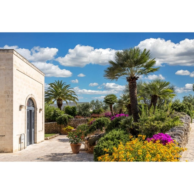 cover of the auction item