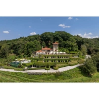 cover image of the auction item