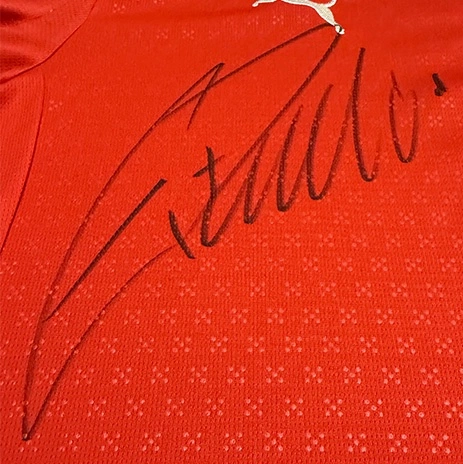 cover image of the auction item