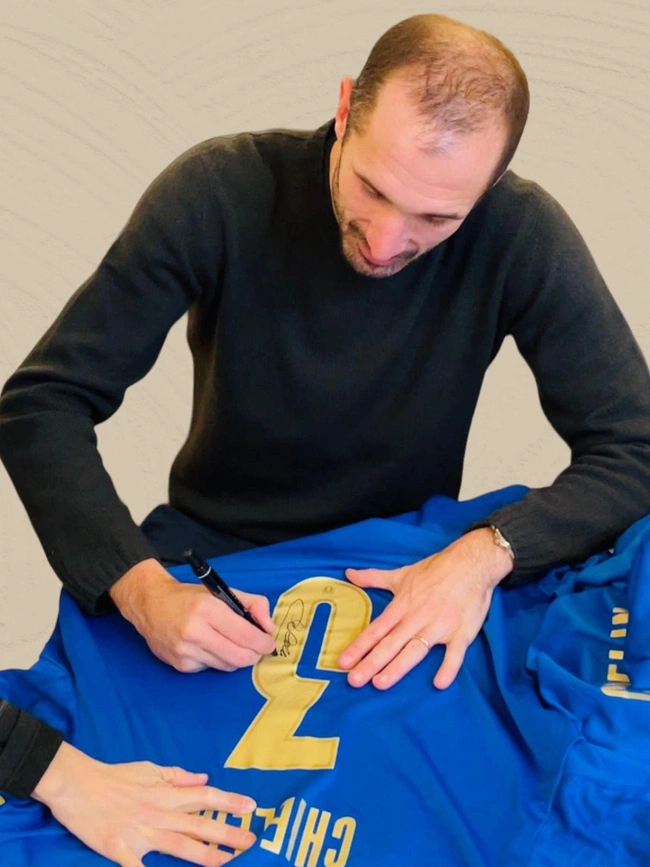 cover of the auction item