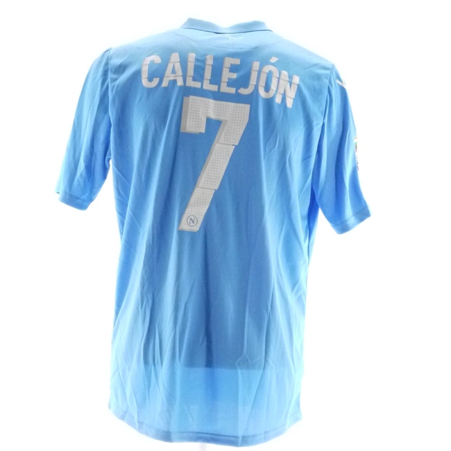 cover image of the auction item