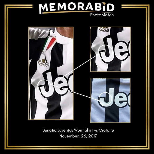 cover image of the auction item