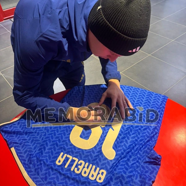 cover image of the auction item