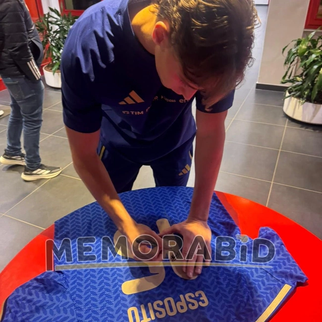 cover image of the auction item