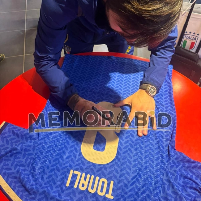 cover image of the auction item