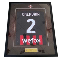 cover image of the auction item