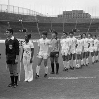 cover image of the auction item