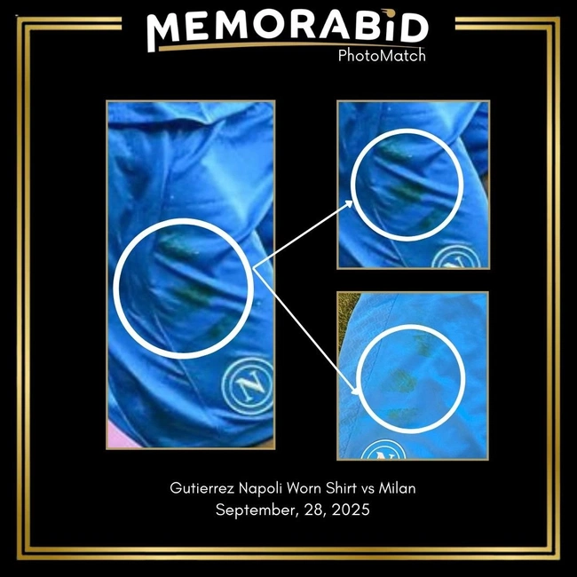 cover image of the auction item