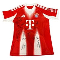 cover image of the auction item