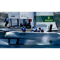 cover image of the auction item