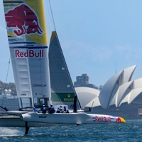 cover image of the auction item