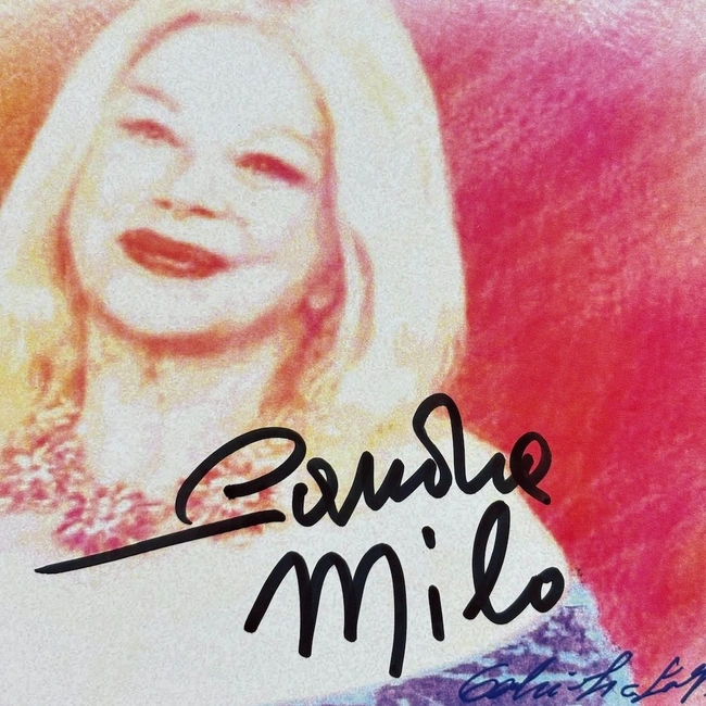 cover of the auction item
