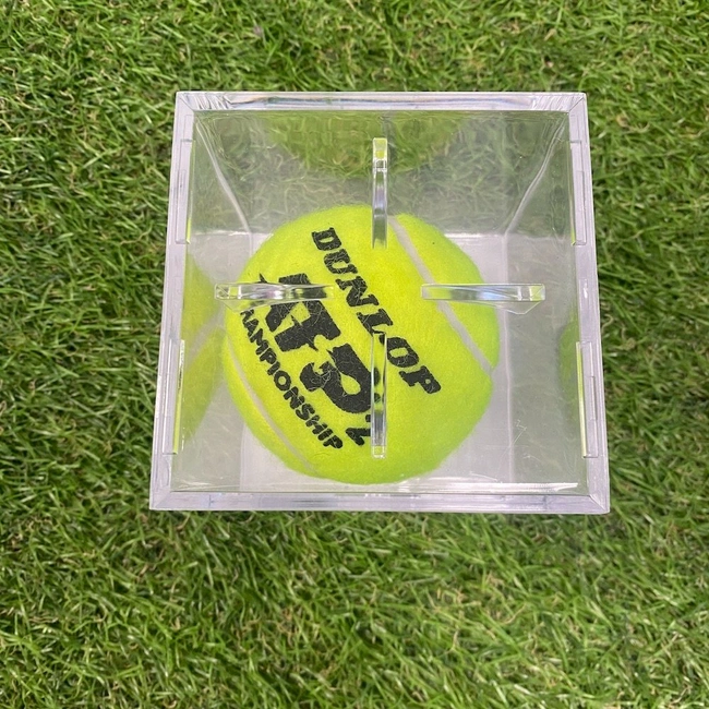 cover of the auction item